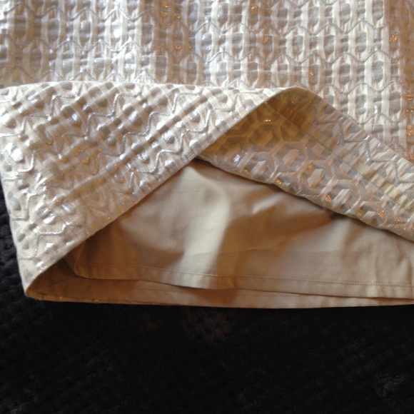 Banana Republic Skirts Banana Republic Plus Size Metallic Mini